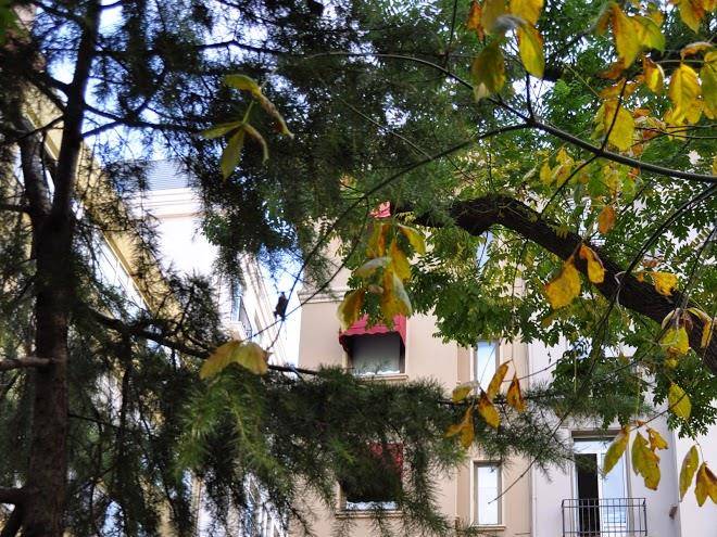 Hotel away suite taksim istanbul