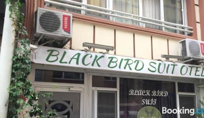 Black bird suite hotel