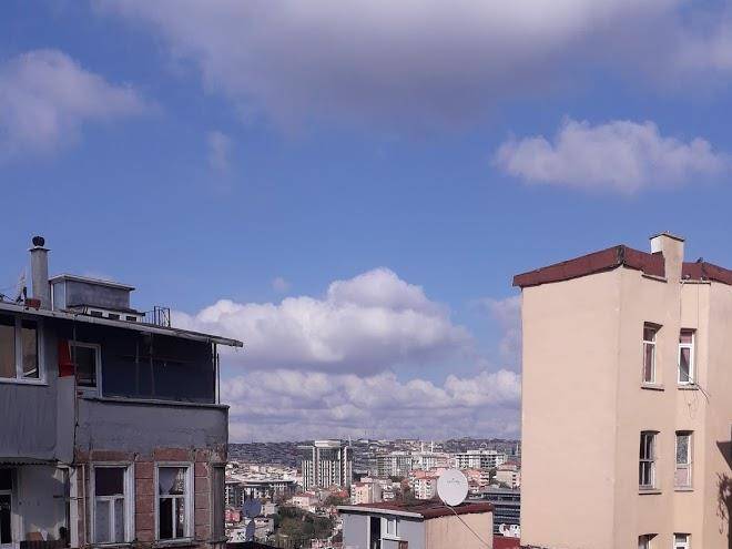 Istanberry sunshine flats