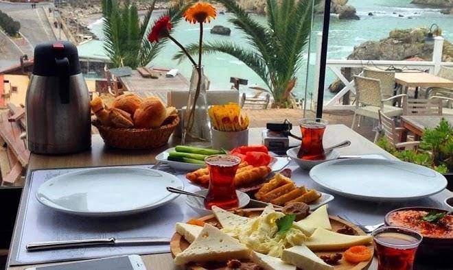 Live asist beach canli orman