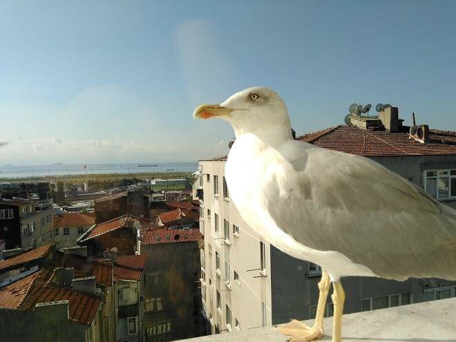Anadolu universitesi aksaray konukevi