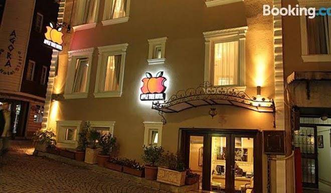 Hotel Apple Tree Image