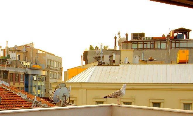 Istanbul metro hotel