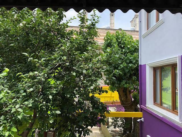 The zanadu hotel