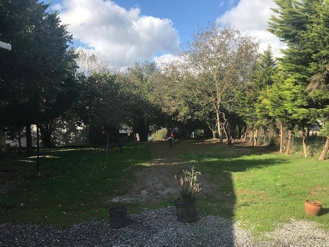 Klon jawor boutique hotel garden