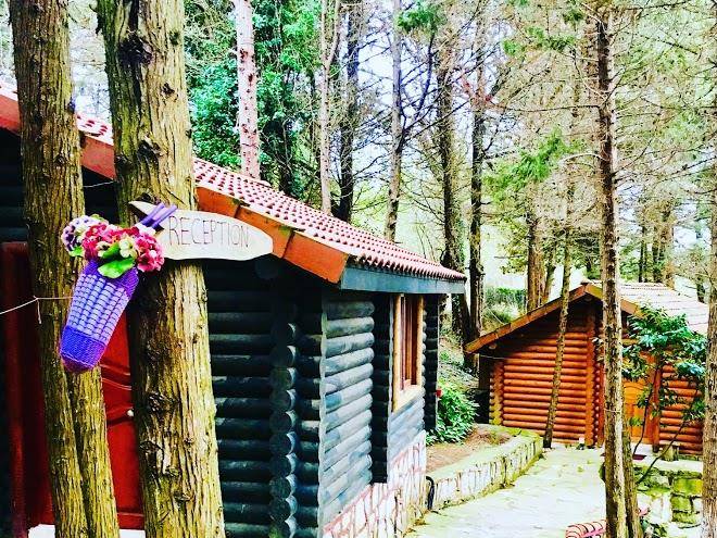 Agva Orman Evleri Image