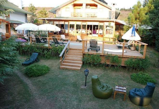 Treetops park hotel
