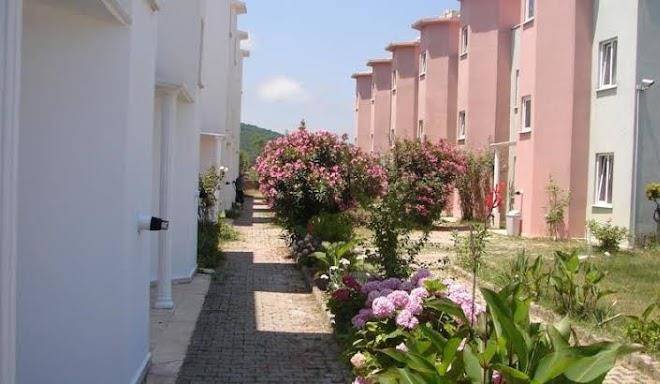 Hotel zambak