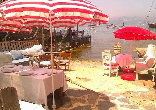 Haruns Paradise Image