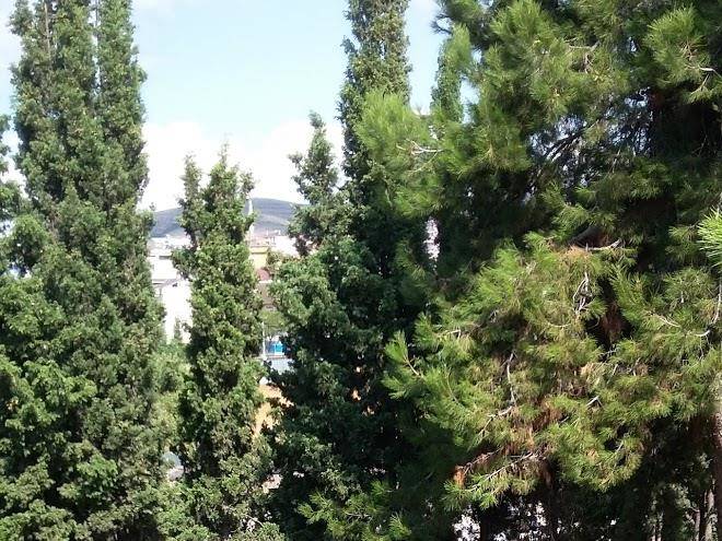 Tuzla termal tesisleri