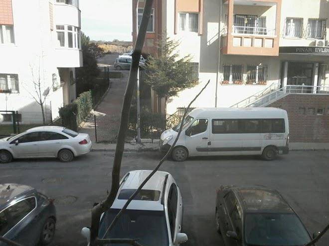 Bozada yayincilik