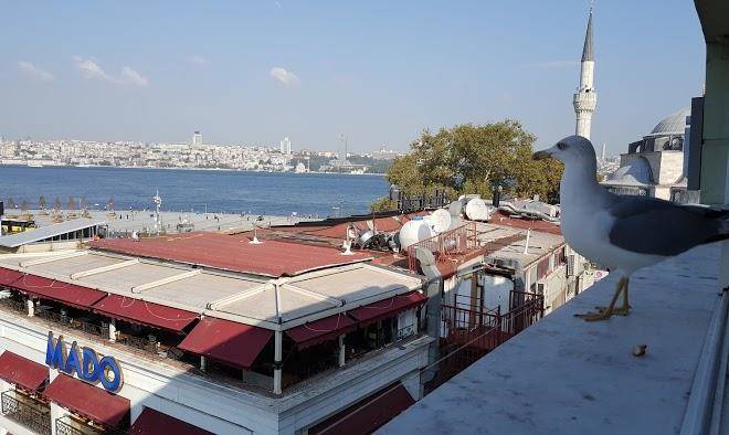 Yeni saray otel