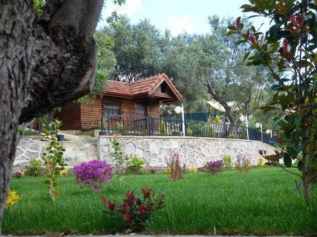 Camalti garden life
