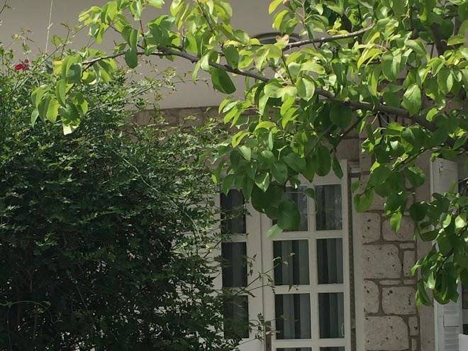 Alacati sorf hotel