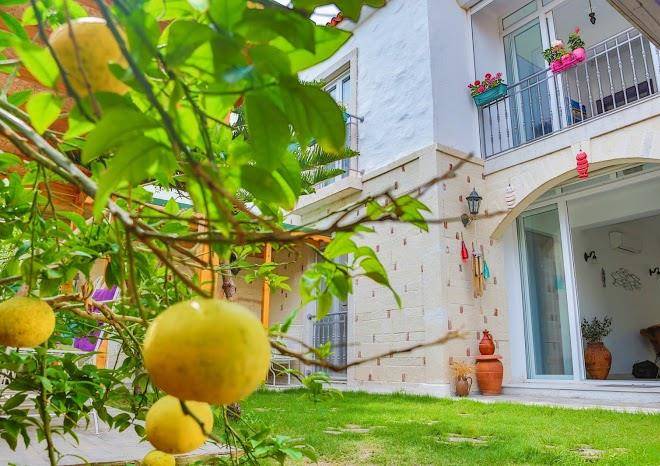 No onbir alacati