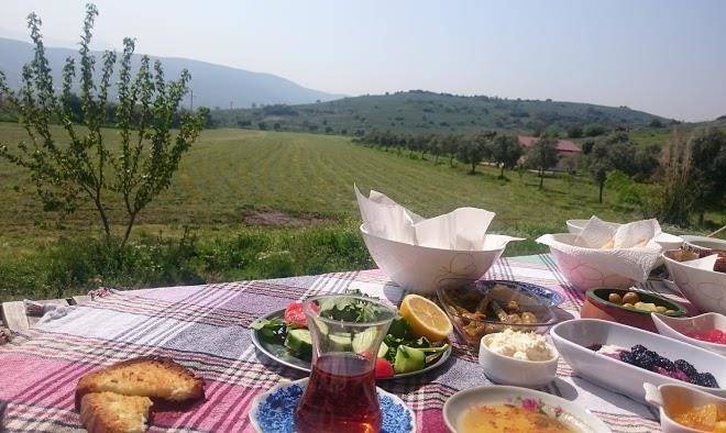Sezerli ciftligi