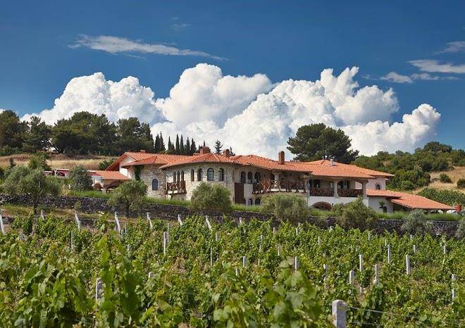 Vinifera hotel