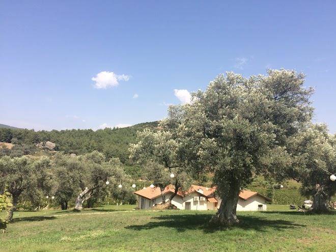 Yedi bilgeler saraphane oteli