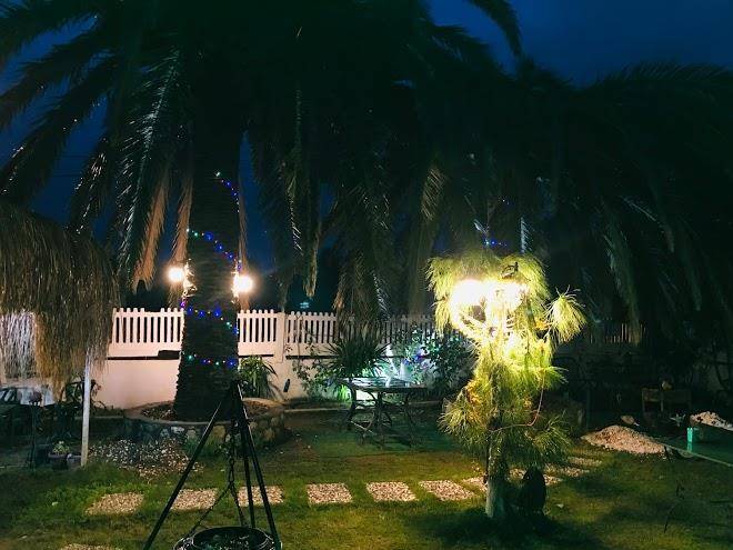 Palmiye butik otel pansiyon karaburun