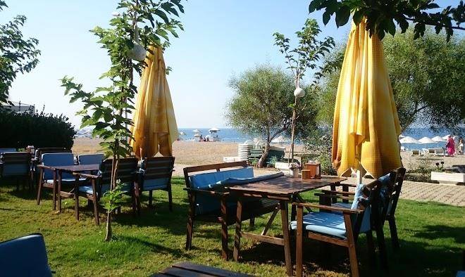 Palmiye hotel