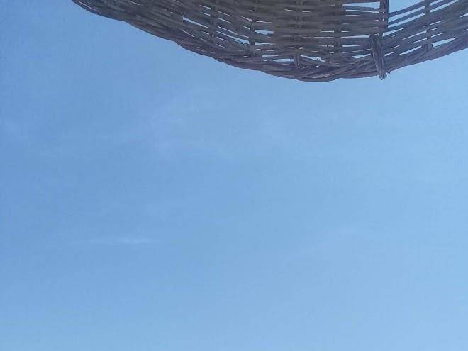 Tropicana hotel gumuldur