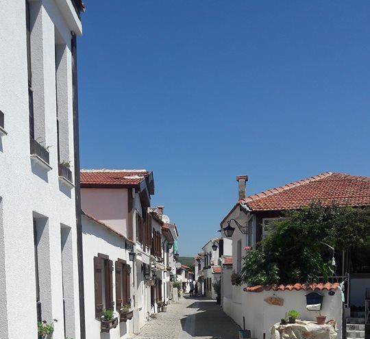 Ale pansiyon