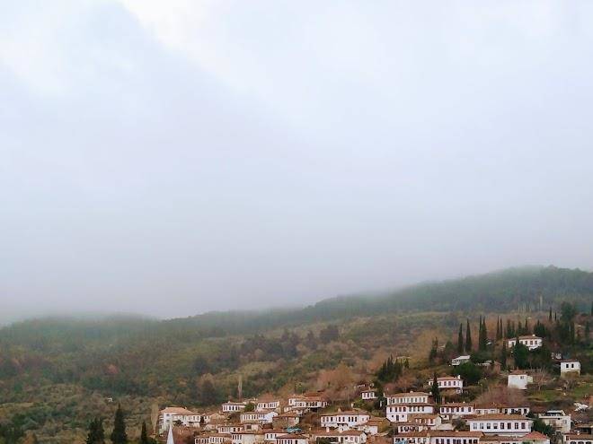 Otel manolian sirince