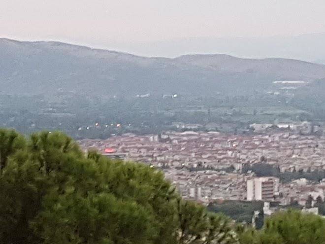Otel koc
