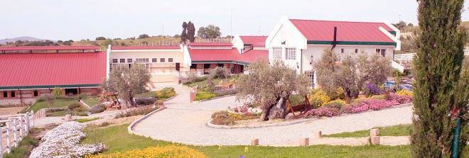 Kemal bey range