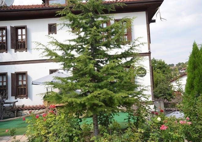 Akce konaklari safranbolu
