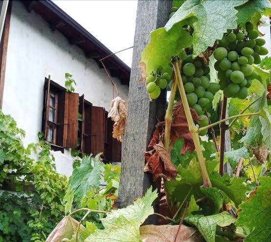 Boncuk Konak Sanat Evi Image