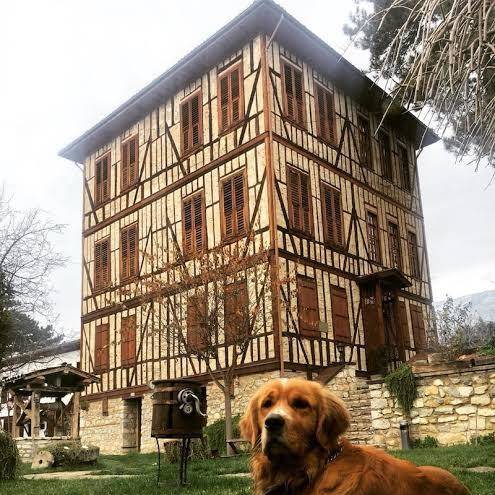 Safirkonak Safranbolu Image