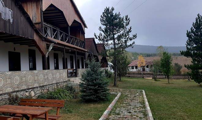 Daday baris at ciftligi