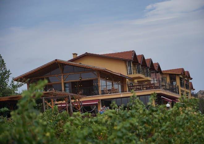 Vino dessera vineyards