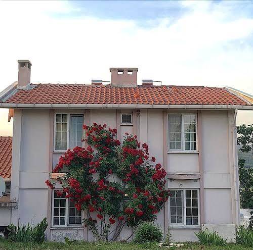 Koyevi Butik Otel Image