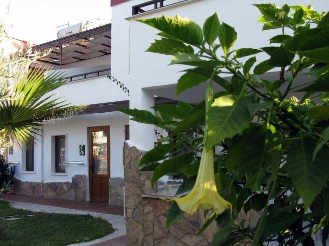 Club cherry hotel 2001