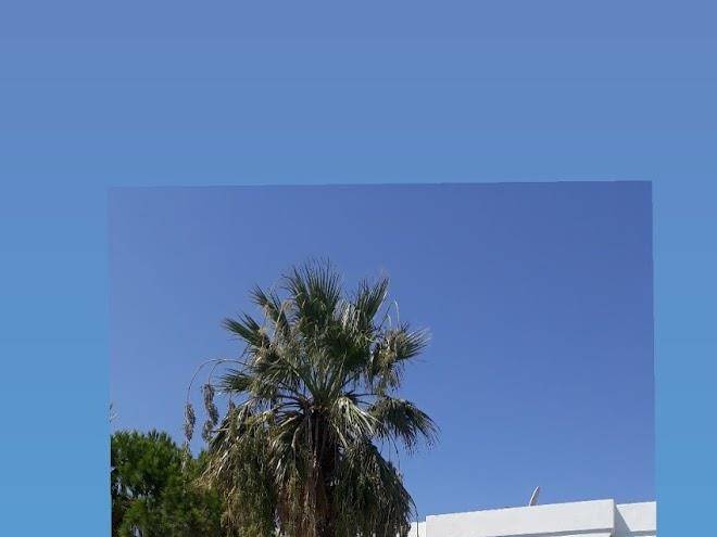 Kriss hotel bodrum