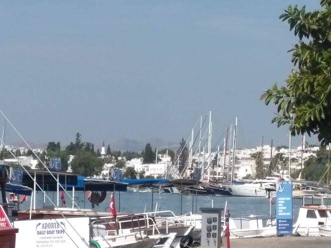 Myc bodrum