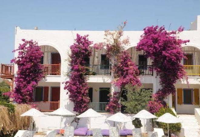 Samdan hotel