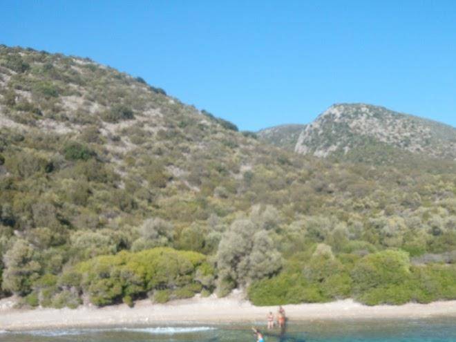 Turunc pansiyon