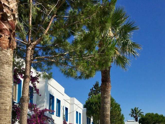 Yakamoz otel