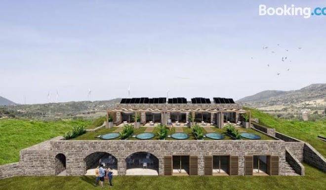 Datca vineyard