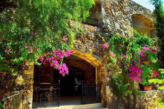 Paradise garden hotel