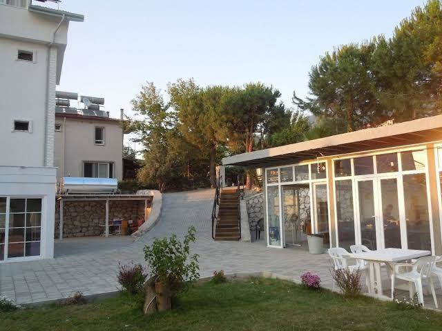 Pine forest hotel