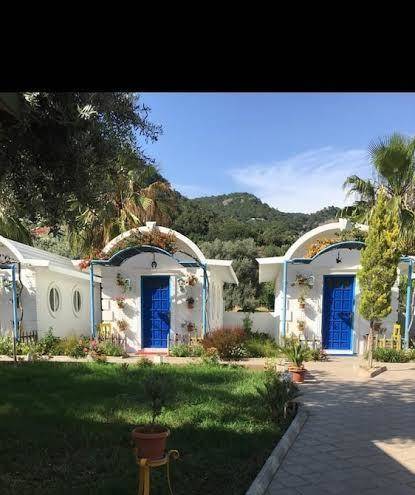 Sunmed lodge