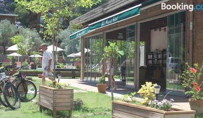 Ali's resort hotel