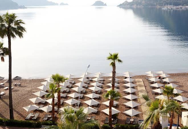Sea star marmaris