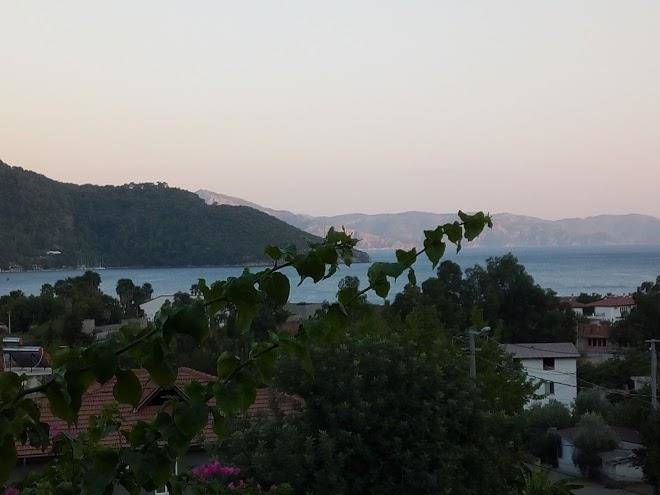 Begonville