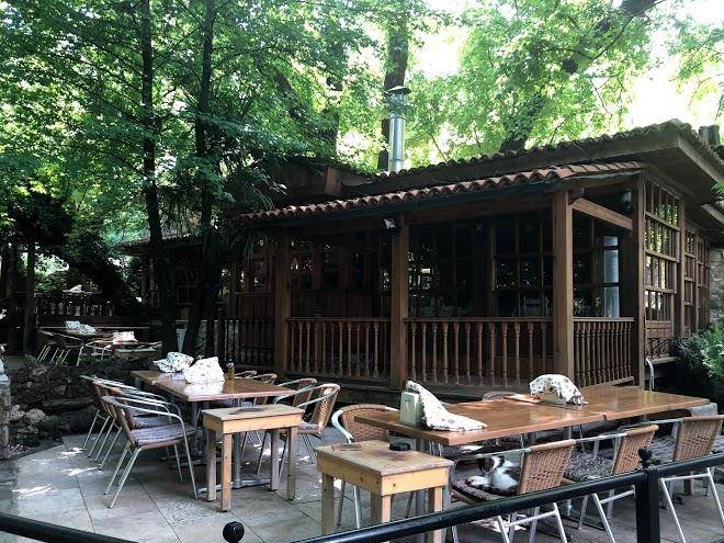 Cinar restaurant