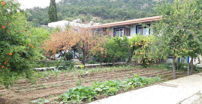 Ege pansiyon & restorant
